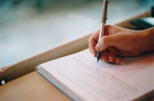 偶然的发现作文