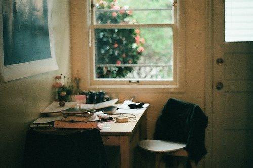 我的小天地二年级作文